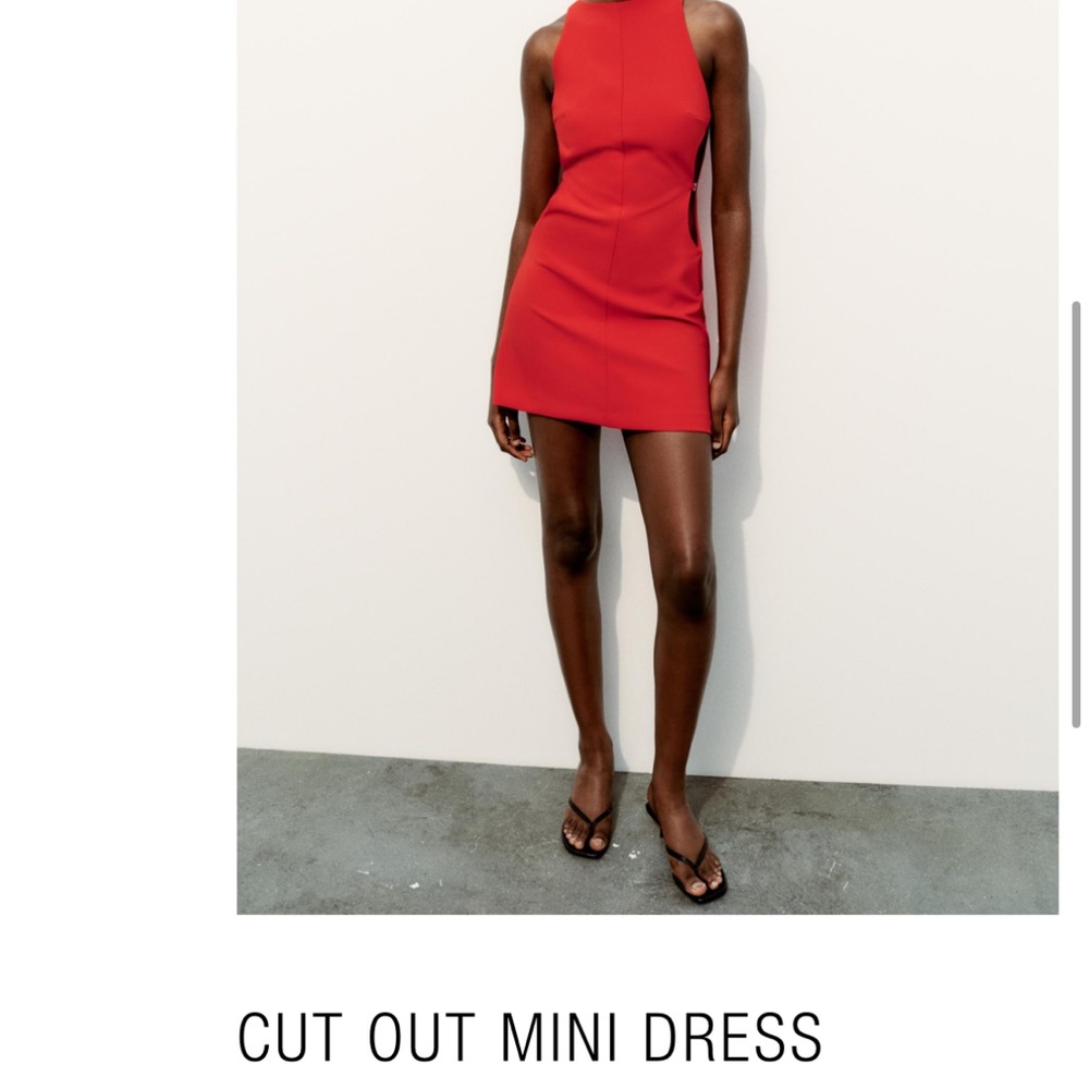 Zara Cut Out Mini Dress